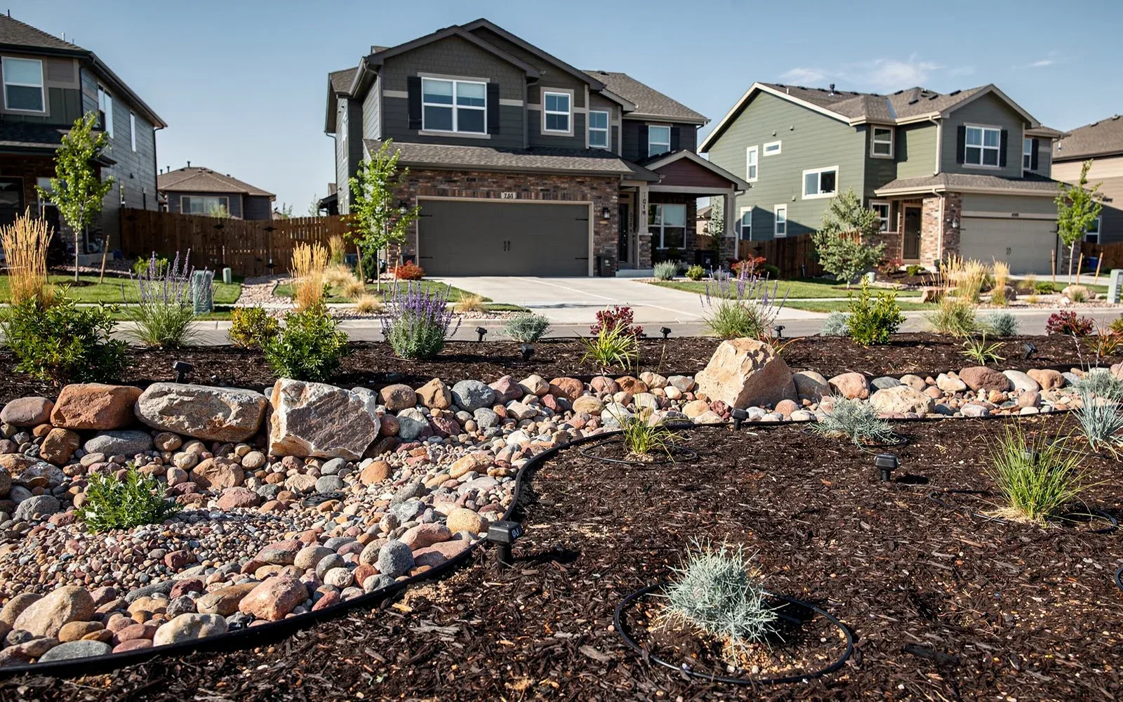 Xeriscape garden with decorative rock and drought-tolerant plants